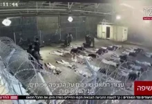 لماذا يعتبر اغتصاب الفلسطينيين ممارسة عسكرية إسرائيلية مشروعة؟