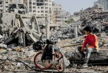 مسئولة أممية: مستويات مروعة من الموت والإصابة والدمار في غزة