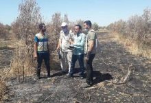 حرب الإبادة على غزة: تدمير نحو ثلثي الأراضي الزراعية