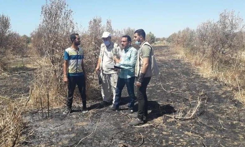 حرب الإبادة على غزة: تدمير نحو ثلثي الأراضي الزراعية