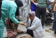 الشهادات المروعة