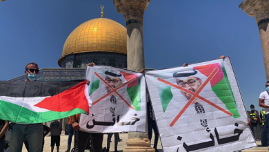 هكذا اصطف محمد بن زايد بجانب "إسرائيل" منذ أول أيام حرب الإبادة في غزة