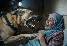 غرف حرب جامعية.. شراكة أكاديمية وعسكرية لقتل الأبرياء في غزة
