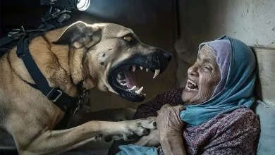 غرف حرب جامعية.. شراكة أكاديمية وعسكرية لقتل الأبرياء في غزة