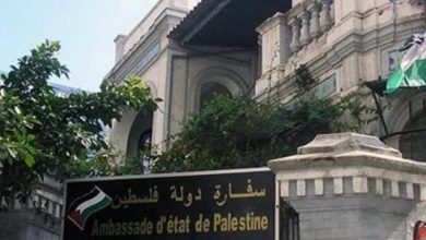 امتحانات في الكراج ومرضى بلا علاج.. أزمات الجالية الفلسطينية بمصر