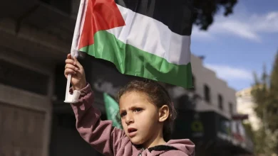 ديفيد هيرست: غزة أظهرت قدرتها على الصمود في وجه الحرب الشاملة