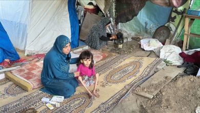 حقيقة صورة دانا الحاج.. وجه المجاعة في غزة يفضح كذب الاحتلال