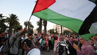بين الهراوات والترحيل.. السلطات المصرية تُجهض قافلة الصمود المؤيدة لغزة