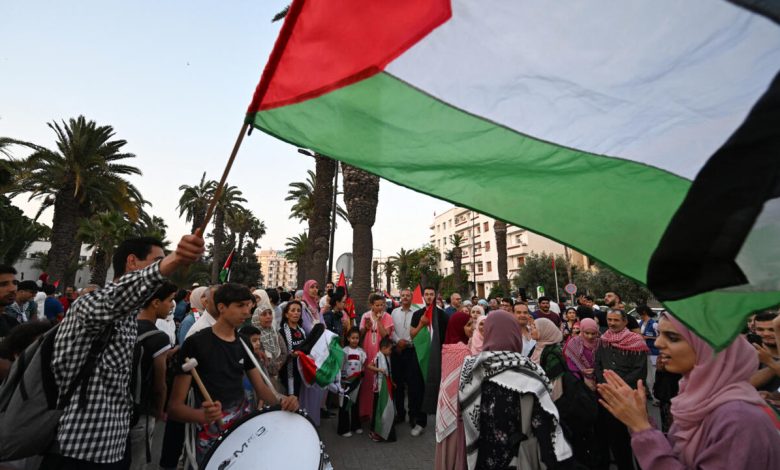 بين الهراوات والترحيل.. السلطات المصرية تُجهض قافلة الصمود المؤيدة لغزة