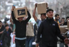 100 منظمة دولية: يجب وقف حرب غزة وآلية المساعدات الأمريكية فورا