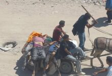 مركز حقوقي يرصد مجزرة مُدبرة ضد المدنيين المجوعين شمال غزة