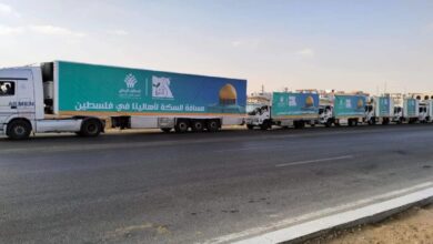 صور المساعدات تملأ الشاشات والجوع يفتك بأطفال غزة