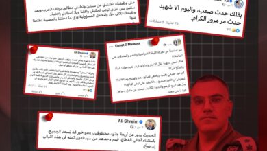 أفيخاي ادرعي النسخة الفلسطينية