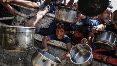 من وراء إدخال الدجاج إلى غزة بأسعاره الفلكية؟ وعلاقة ذلك بتجميل وجه الاحتلال