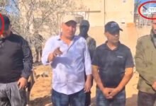 مخدرات وسلاح وتنسيق أمني.. صورة واحدة تكشف حقيقة عصابات الاحتلال في غزة