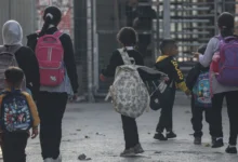 تعليم بلا إنقاذ: كيف عمّق تقاعس السلطة وانتهاكات الاحتلال انهيار التعليم الفلسطيني؟