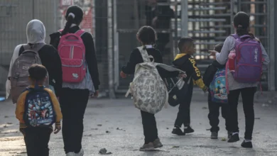 تعليم بلا إنقاذ: كيف عمّق تقاعس السلطة وانتهاكات الاحتلال انهيار التعليم الفلسطيني؟