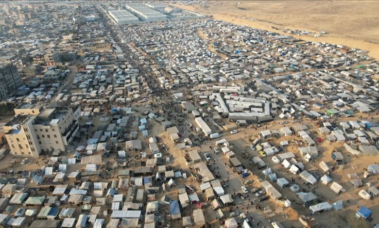 من هي شركة مسعود وعلي؟.. شريك الاحتلال في مشاريع تهجير سكان غزة