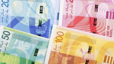 رواتب البلديات والمجالس القروية في فلسطين.. كم يحصل الرؤساء والأعضاء؟