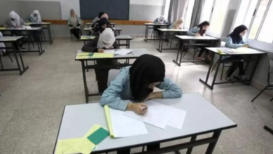 ألقوا حقيبتها في الشارع".. مؤسسات السلطة في القاهرة تهين طالبة من غزة