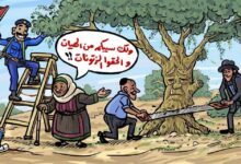 انتقادات وسخرية من استعراضات مسؤولي سلطة رام الله في موسم قطف الزيتون