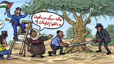 انتقادات وسخرية من استعراضات مسؤولي سلطة رام الله في موسم قطف الزيتون