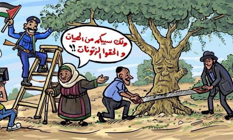 انتقادات وسخرية من استعراضات مسؤولي سلطة رام الله في موسم قطف الزيتون